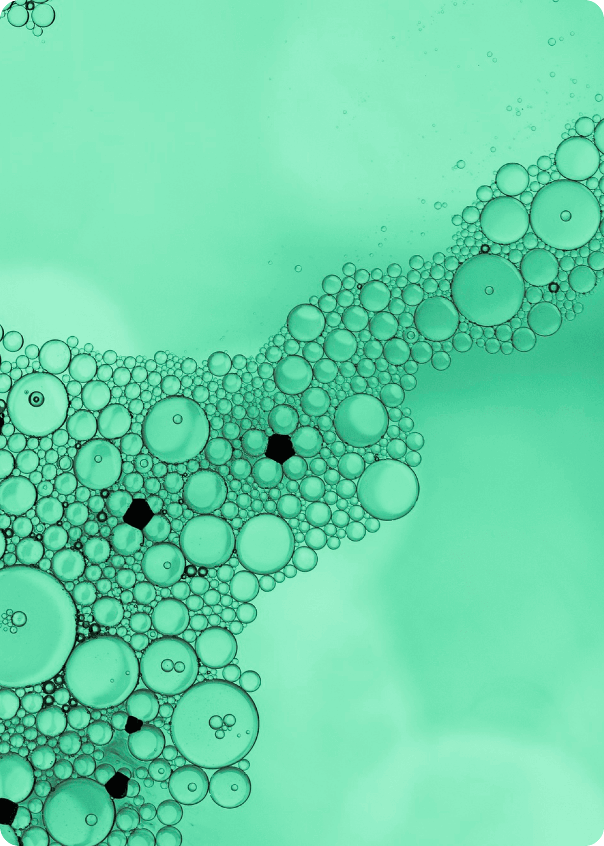 Drug Toxicity background